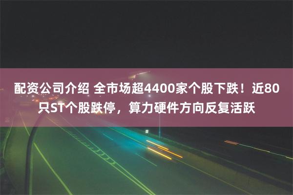 配资公司介绍 全市场超4400家个股下跌！近80只ST个股跌停，算力硬件方向反复活跃