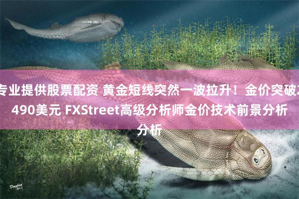 专业提供股票配资 黄金短线突然一波拉升！金价突破2490美元 FXStreet高级分析师金价技术前景分析