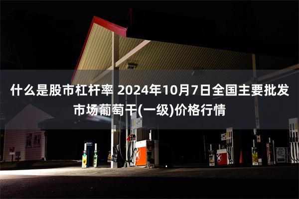 什么是股市杠杆率 2024年10月7日全国主要批发市场葡萄干(一级)价格行情