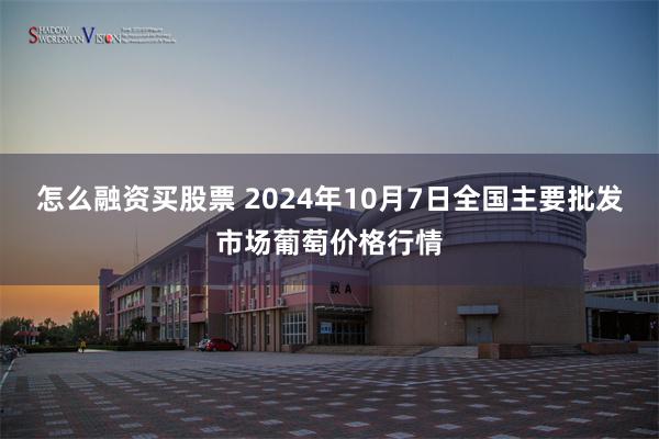 怎么融资买股票 2024年10月7日全国主要批发市场葡萄价格行情