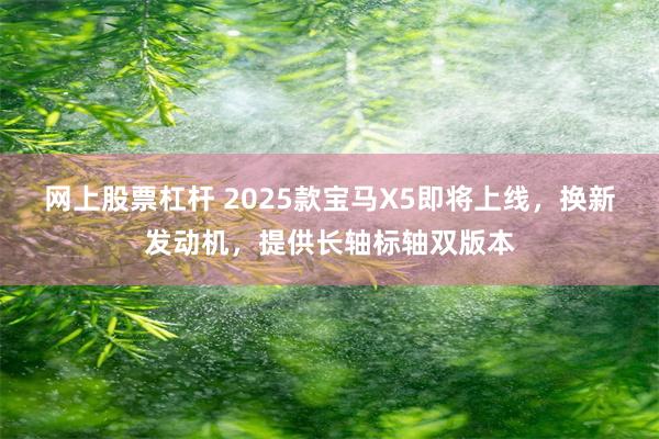 网上股票杠杆 2025款宝马X5即将上线，换新发动机，提供长轴标轴双版本