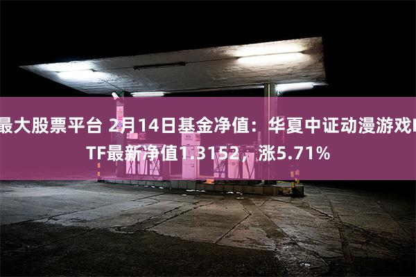 最大股票平台 2月14日基金净值：华夏中证动漫游戏ETF最新净值1.3152，涨5.71%