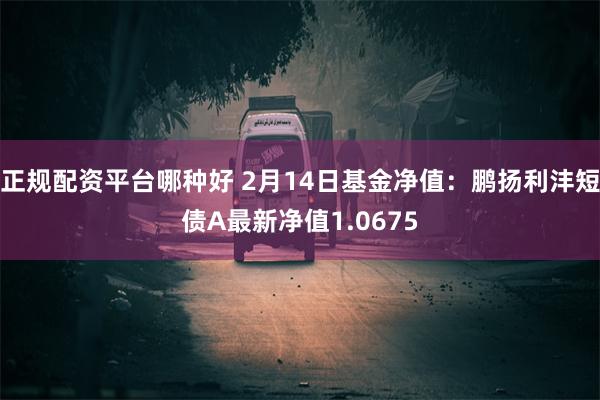 正规配资平台哪种好 2月14日基金净值：鹏扬利沣短债A最新净值1.0675