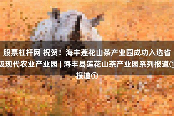 股票杠杆网 祝贺！海丰莲花山茶产业园成功入选省级现代农业产业园 | 海丰县莲花山茶产业园系列报道①