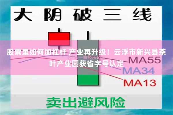 股票里如何加杠杆 产业再升级！云浮市新兴县茶叶产业园获省字号认定